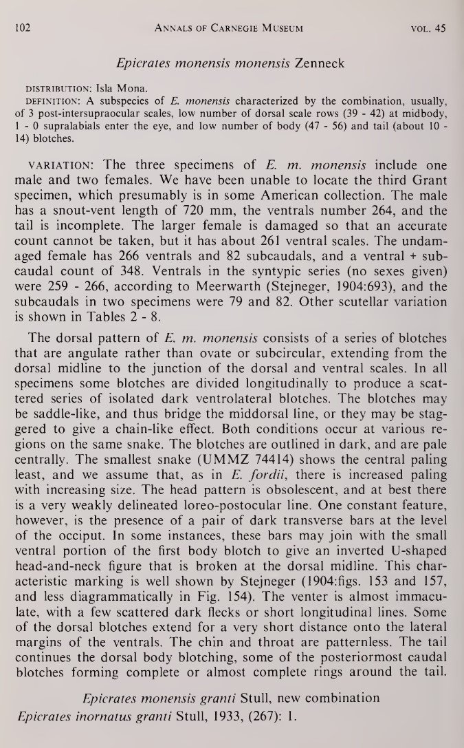 Chilabothrus monensis West Indian Boas
